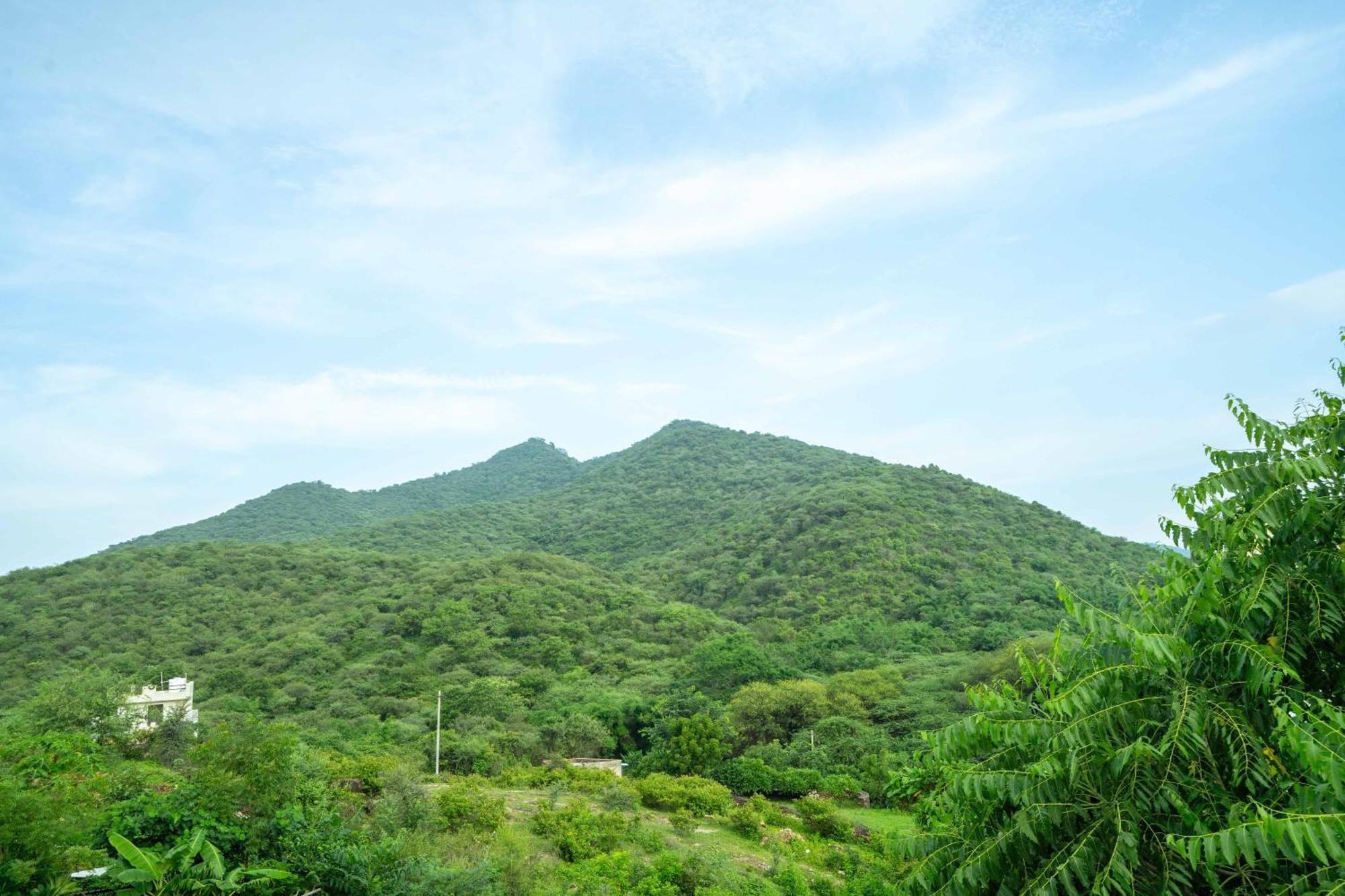 Готель Treebo The Aravali Getaway Удайпур Екстер'єр фото